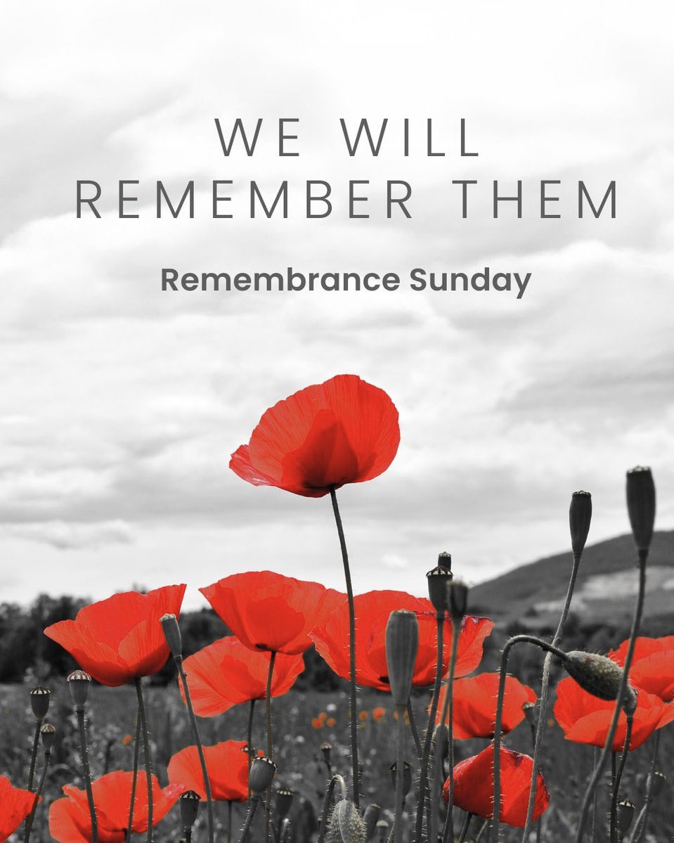 We will always remember those that fought and served to protect.

𝓛𝓮𝓼𝓽 𝔀𝓮 𝓯𝓸𝓻𝓰𝓮𝓽. 🌹

#RemembranceSunday