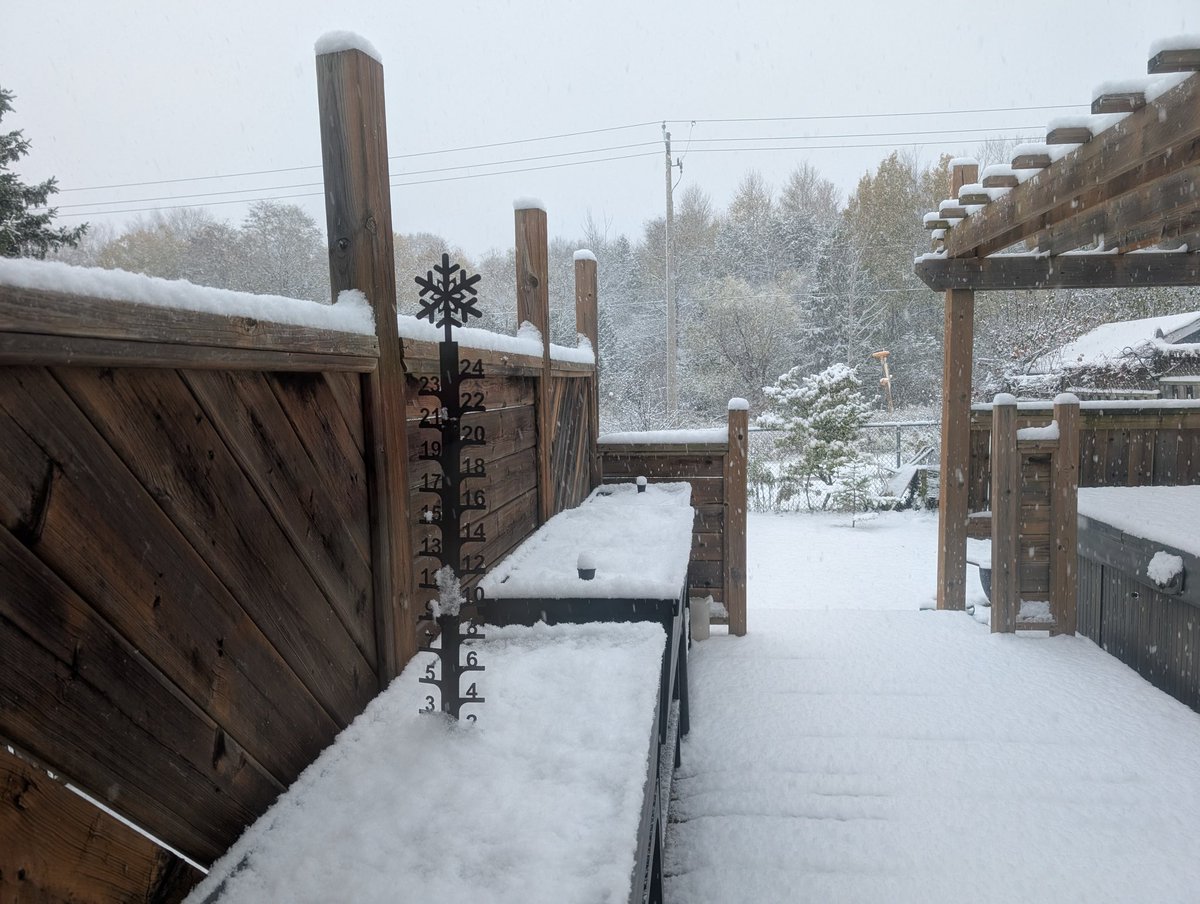 First snow of the season 2025/2026 ❄️ 

📸: Kitchener, Ontario (~8 a.m.)