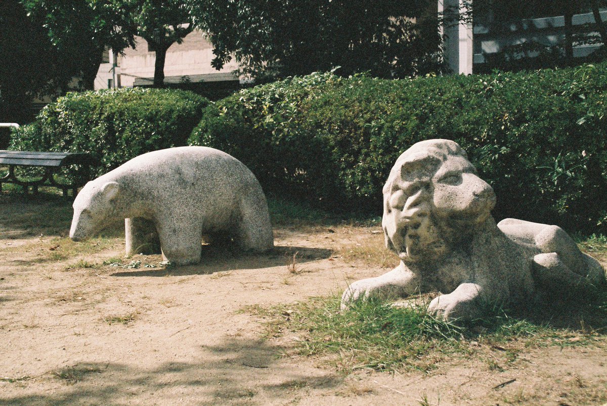ライオンの視線

あのドームをみつめてた
ちょっと普通の公園遊具とは違うと思った

#filmphotography #film #fujifilm #superia_xtra400 #nikon #f2 #チャンプカメラ #広島 #平和記念公園 #公園遊具