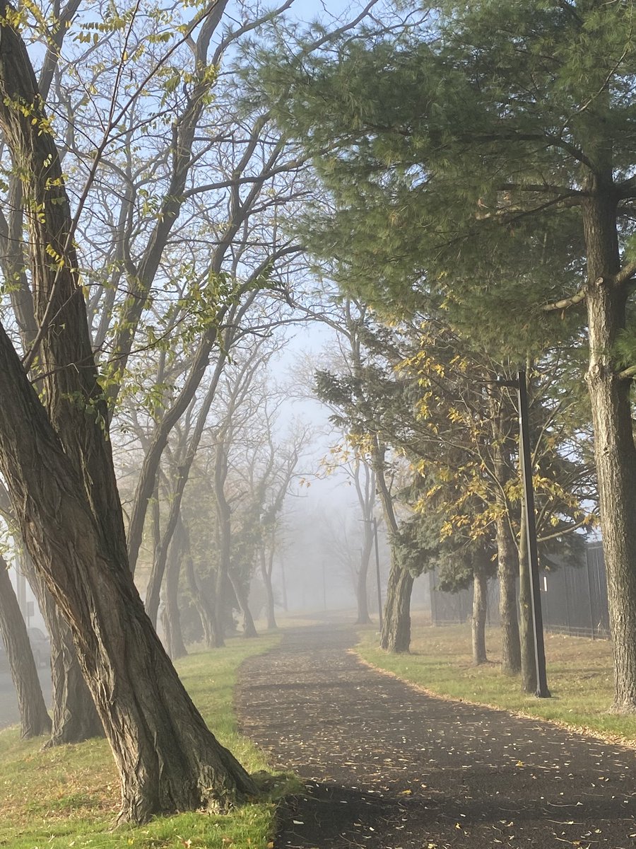 Sun breaking thru fog.
