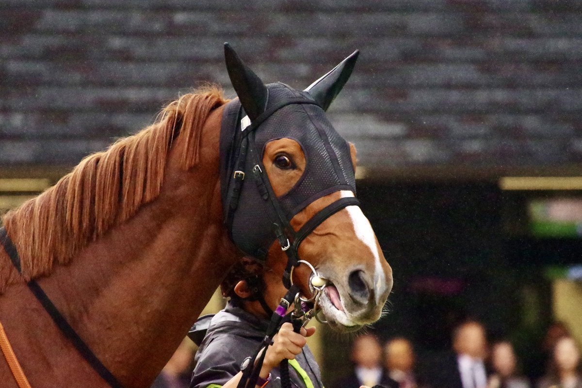 サビヌキコペン (@copen_banushi) / Posts / X