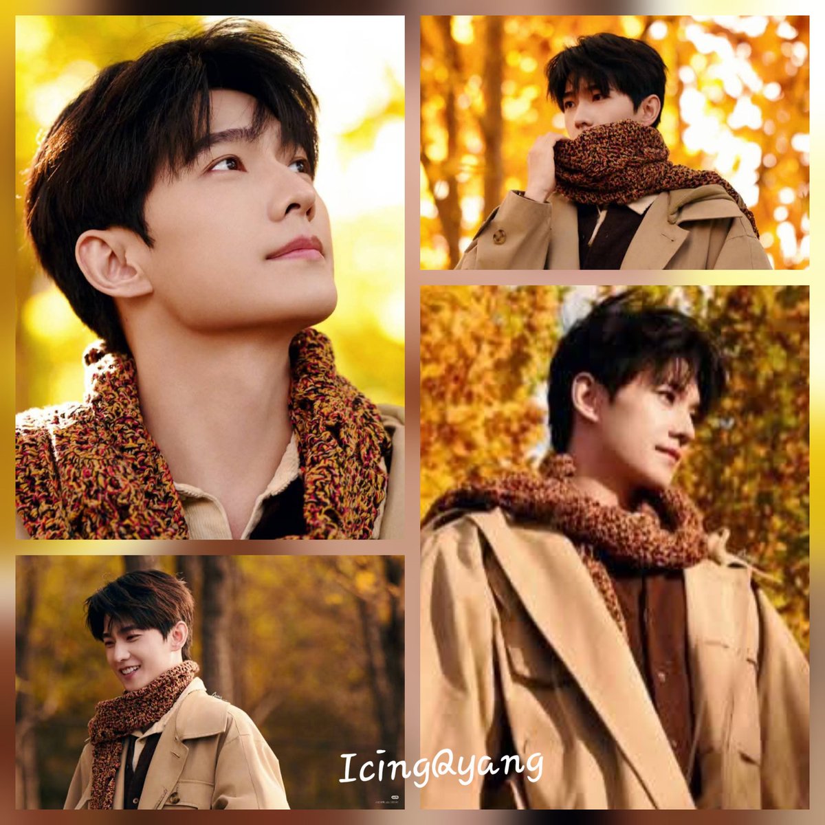 icingquinyang2's tweet photo. #autumnleaves and hues of #GoldenYellow are the perfect backdrop for #YangYangζ¨ζ΄. #NinthOfTheMonth #gorgeousness Hello November. https://t.co/DXK7pylcAX