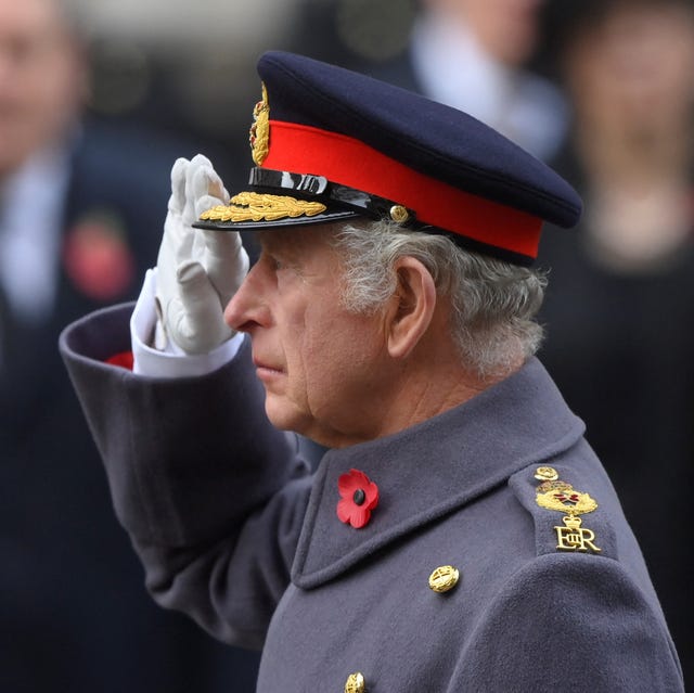 Always remember those that died keeping us Safe. King Charles lll salutes those that made the sacrifice.