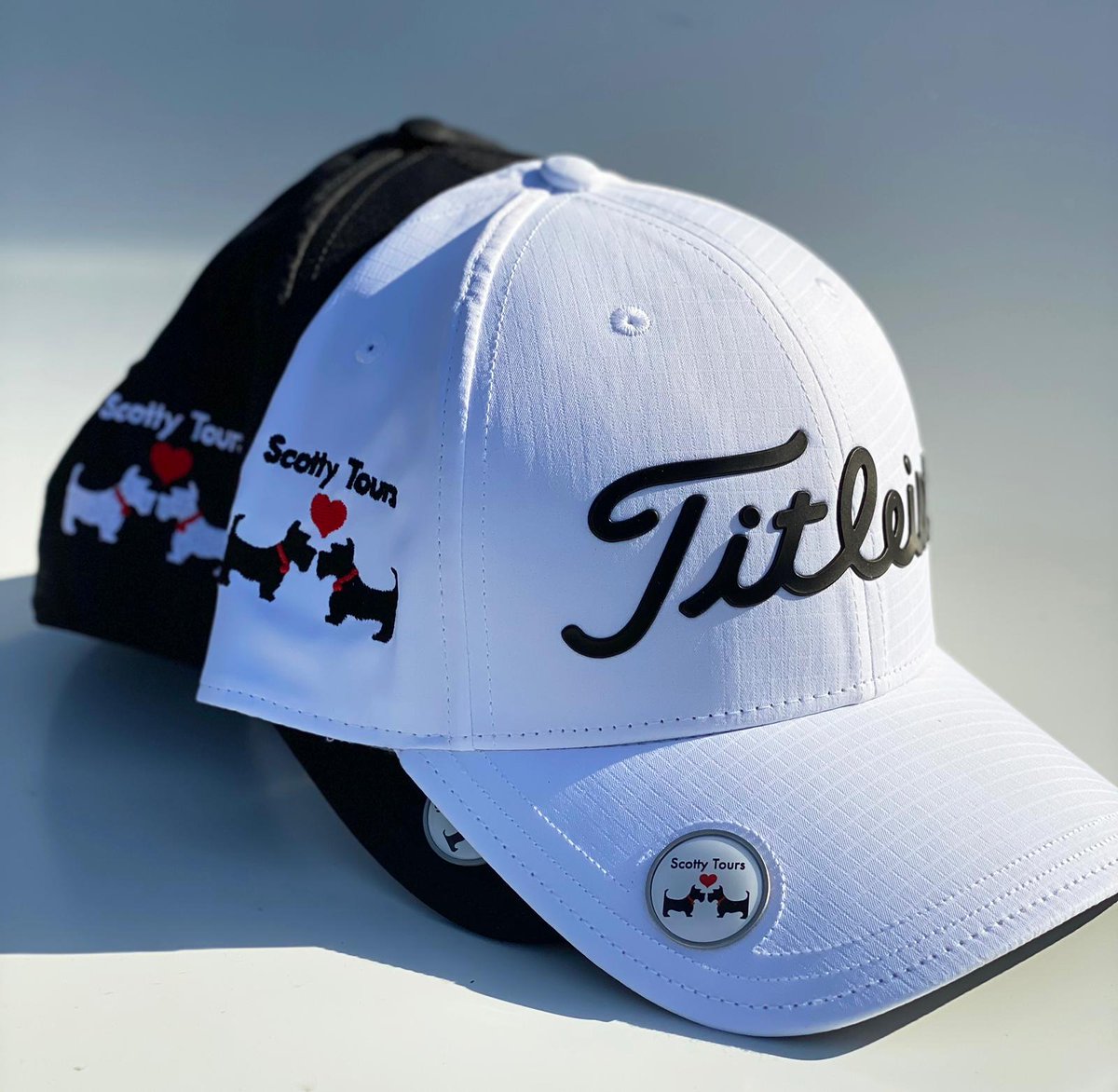 scotty tours tweet media