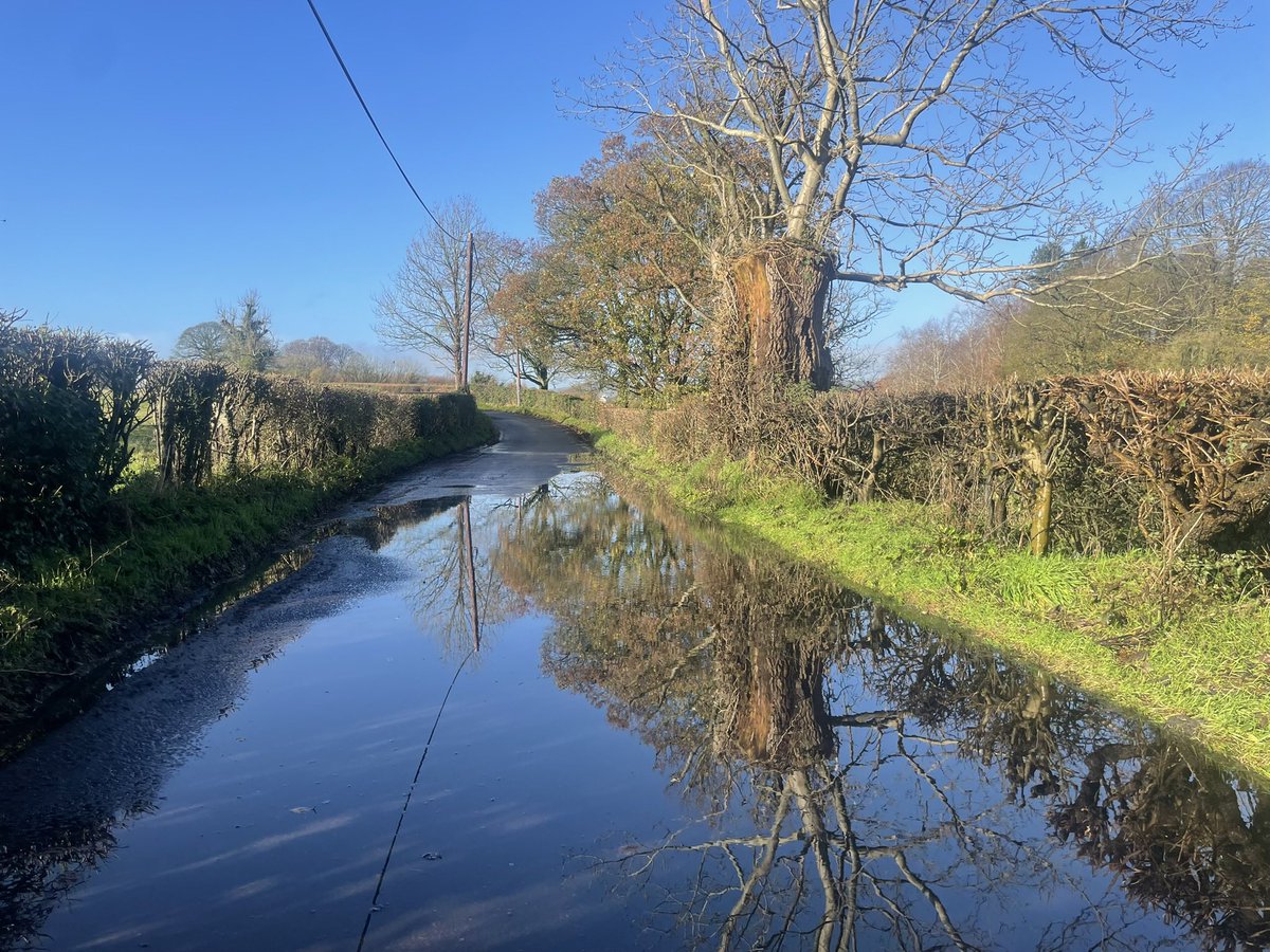 peterbreene's tweet photo. Autumn in Edenderry and Minnowburn. @WeatherCee @AlastairMackay @bbcweather #Autumn #leaves #nature #walk #sunshine https://t.co/AYFr0GoOvW
