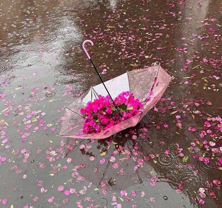 *" أحيانًا لا تحتاج إلى الشخصِ الذي يعطيك المظلّة، وإنّما تحتاج الشخص الذي يبتل معك.. فمساحة الشعور تفوق مساحة العطاء 💐".*