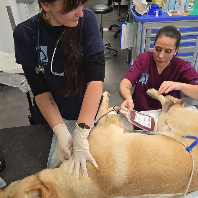 Le Média Positif 🍀 tweet media