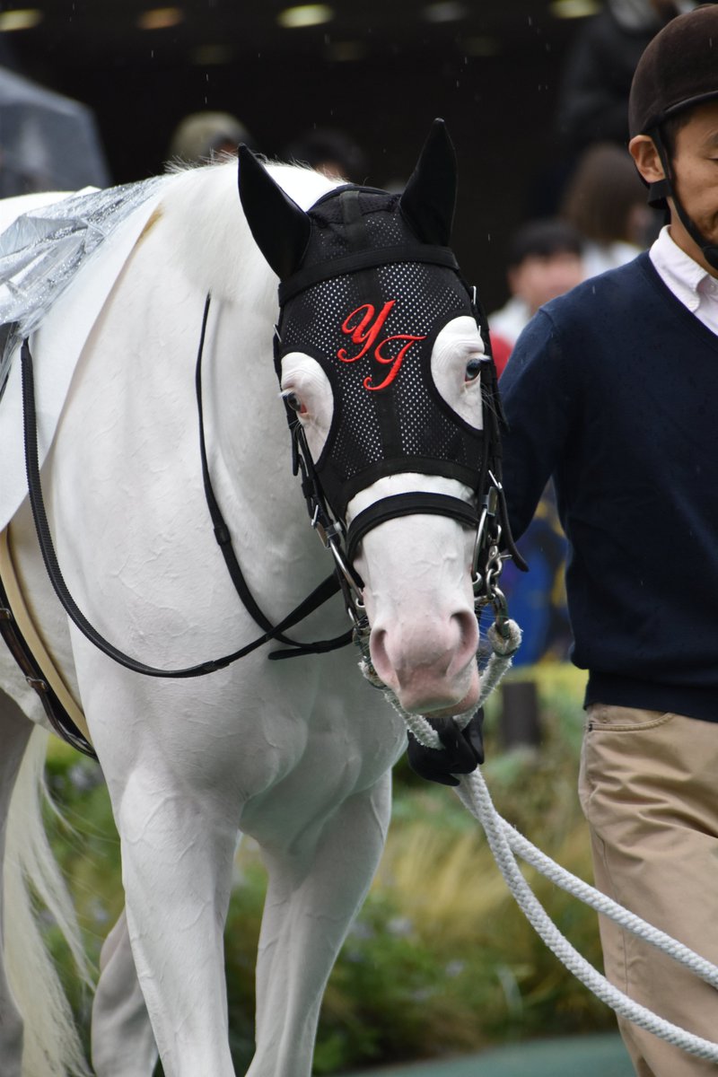 梨豊 (@nashiyutaka) / Posts / X