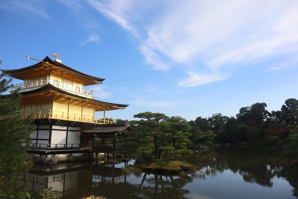 hottyard's tweet photo. 小学校の修学旅行ぶりに行ったが、金閣は良かった。もっとギラギラなイメージを持っていたが、思ったより落ち着いた印象だった。 https://t.co/TCHhoxRhVl