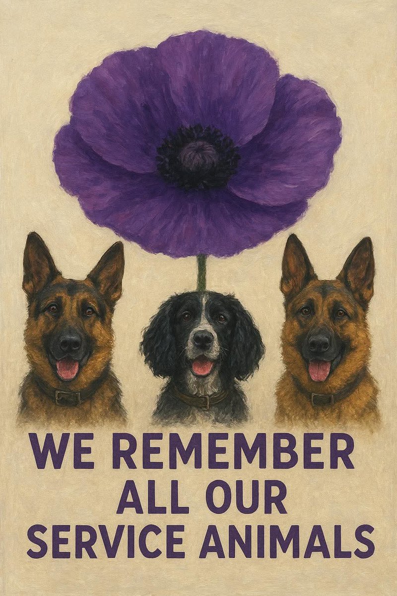 BCHPoliceDogs's tweet image. 