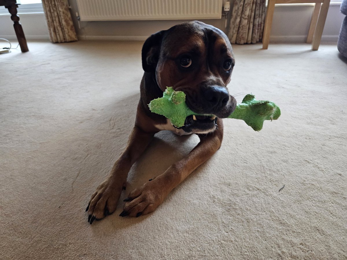 Kingsley has brought dad a toy as soon as he arrived.