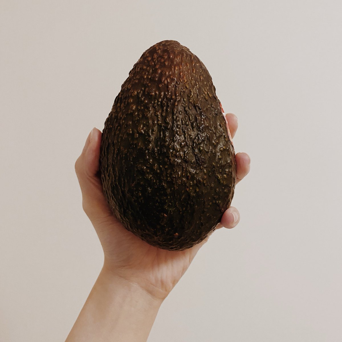 アボカドProMaxだよ🥑