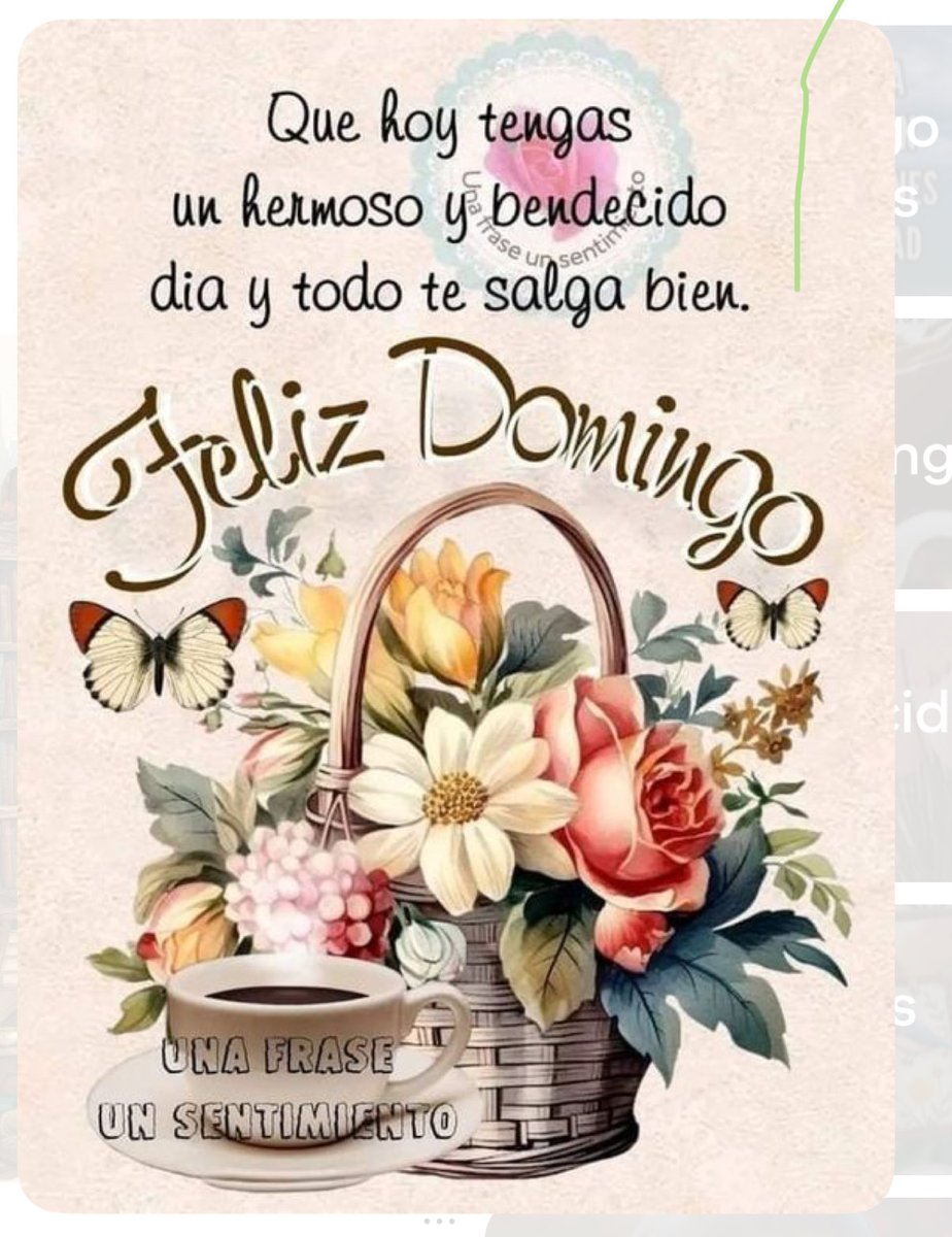 <a href="/Miguel64887677/">Miguel</a> hola Miguel que sea un Domingo feliz que lo pases muy bien..