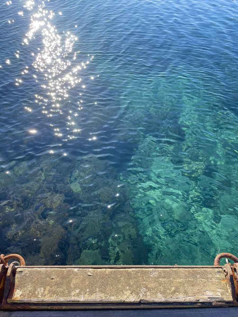 Anna 🌞 tweet media