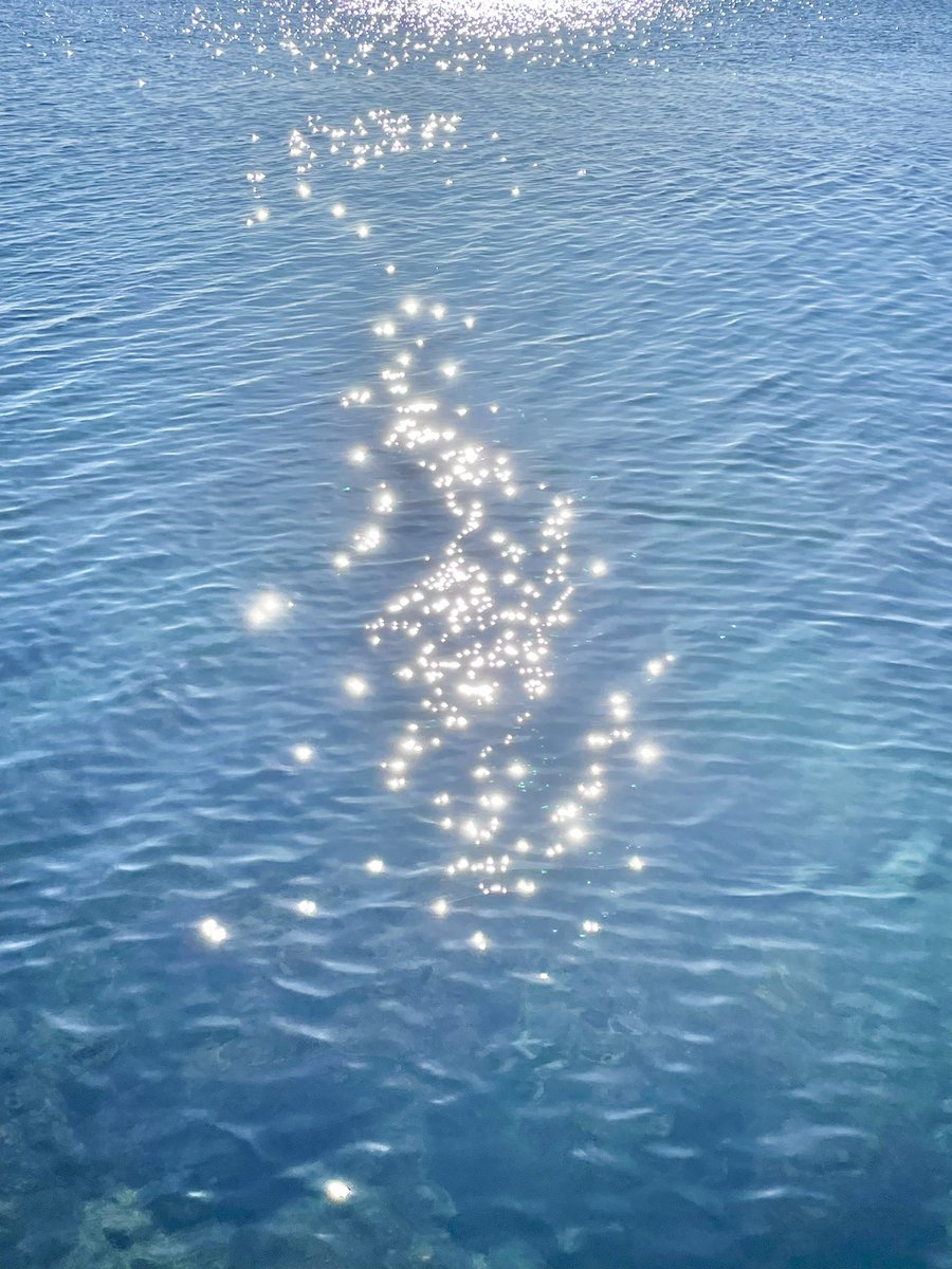 Anna 🌞 tweet media