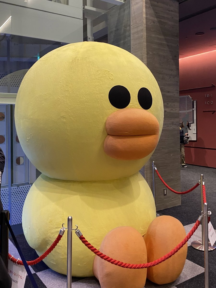 ビルス✖️シャンパ Amazon.com: Avedis Zildjian Company Planet Z Crash Cymbal (ZP16C