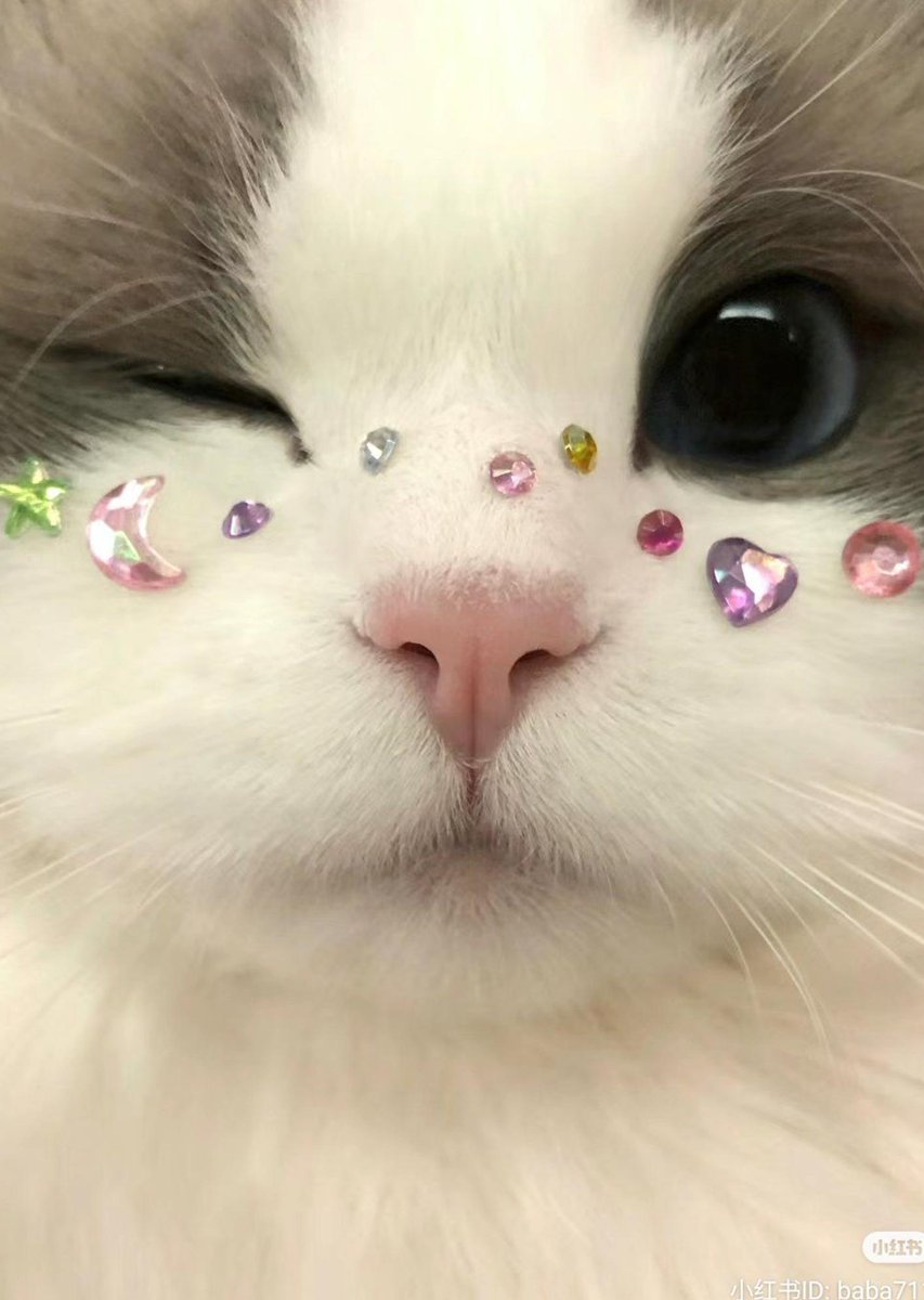 essite_msk's tweet image. おつかれ〜 テンション上がる🎶けど外出たら気持ちよかった✨！ 💻