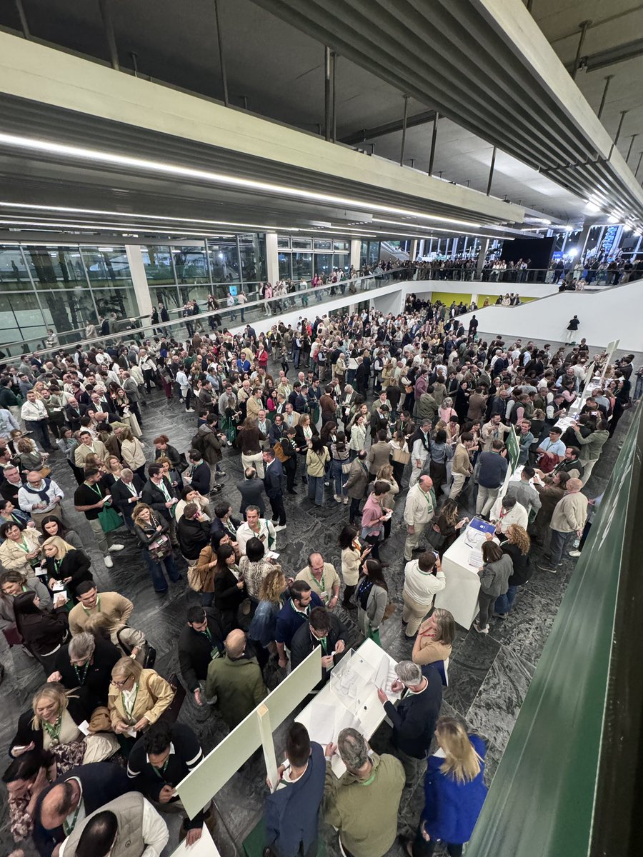 alb_rado's tweet image. El #XVIICongresoPPAndalucía marca un nuevo impulso.

La confianza en @JuanMa_Moreno reafirma un liderazgo sólido y cercano.

Vuelvo con energía renovada, orgullo de representar a Málaga y la ilusión de seguir aportando al gran proyecto del @ppandaluz. 💙

#SiempreAndalucía