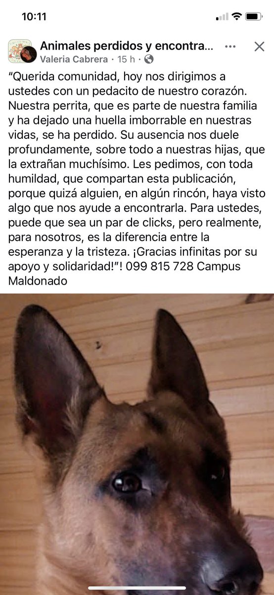 Adriana (@adriana43587622) on Twitter photo 