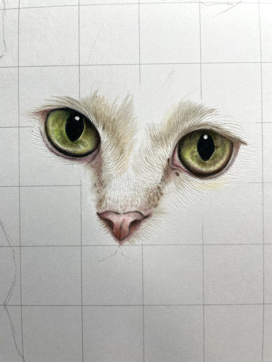 ひーさん｜色鉛筆画✏️ (@hi3_xxx) / Posts / X