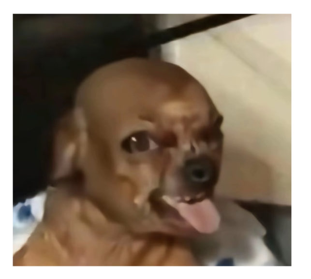 $giggle 跑了 加密向善