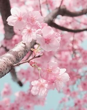 おつかれ〜 やる気でない😪。動画見よ📺。今日もゆるくいこ〜