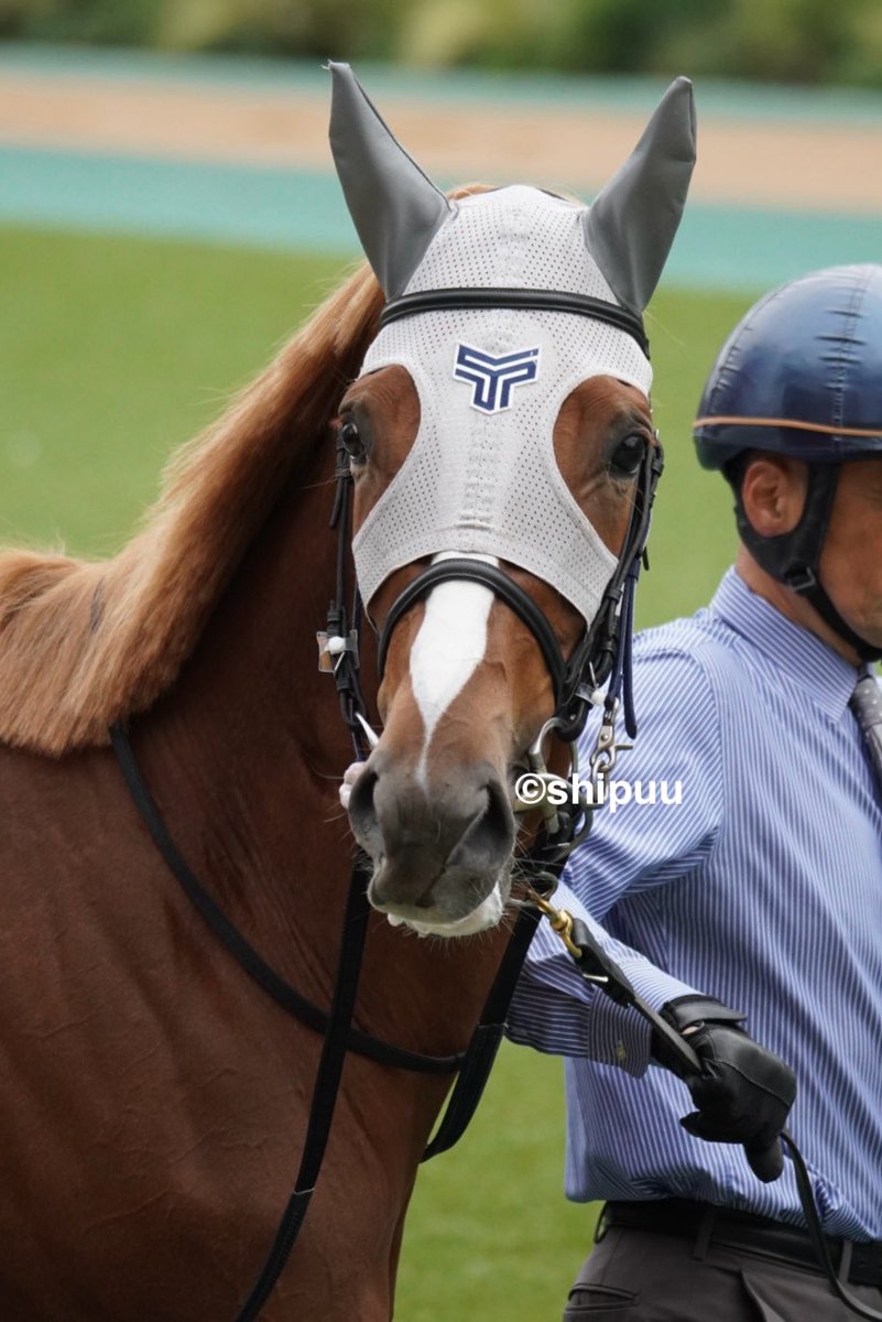 ♥早い者勝ち atmosからadidas Originals「ZX8000 G-SNK」の新型が8月10日(土)登場