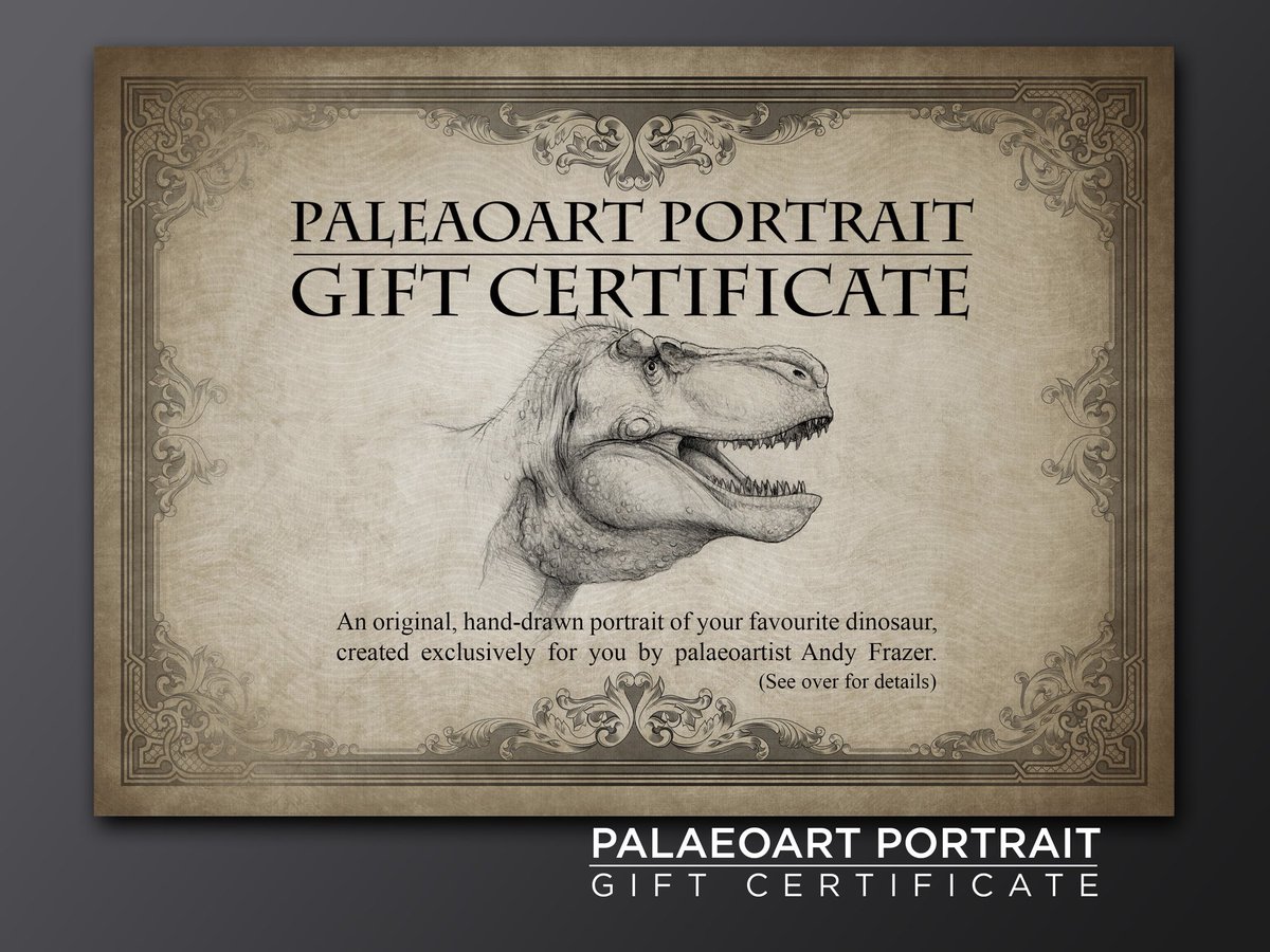 DragonsofWales tweet media