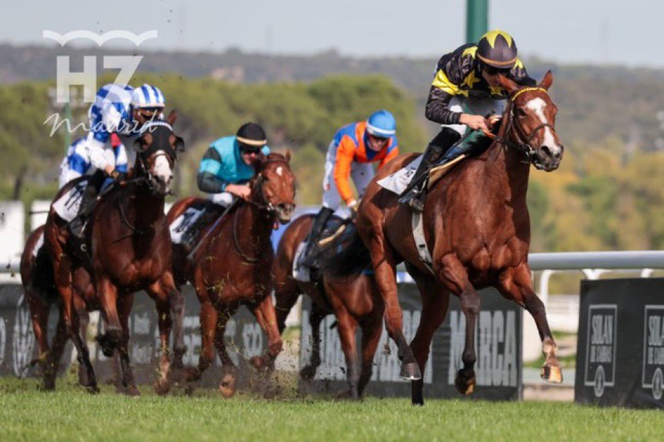 Enhorabuena a <a href="/Ignaciomelga/">IGNACIO MELGAREJO LORING</a> ganador de la tercera para <a href="/Diazvieraingrid/">Ingrid_diaz</a>