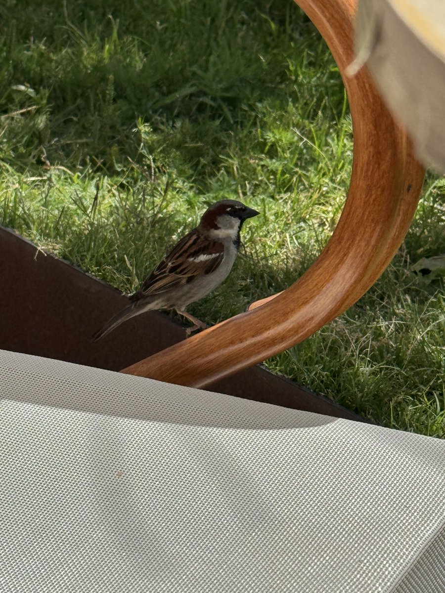 Que tengan un gran domingo.