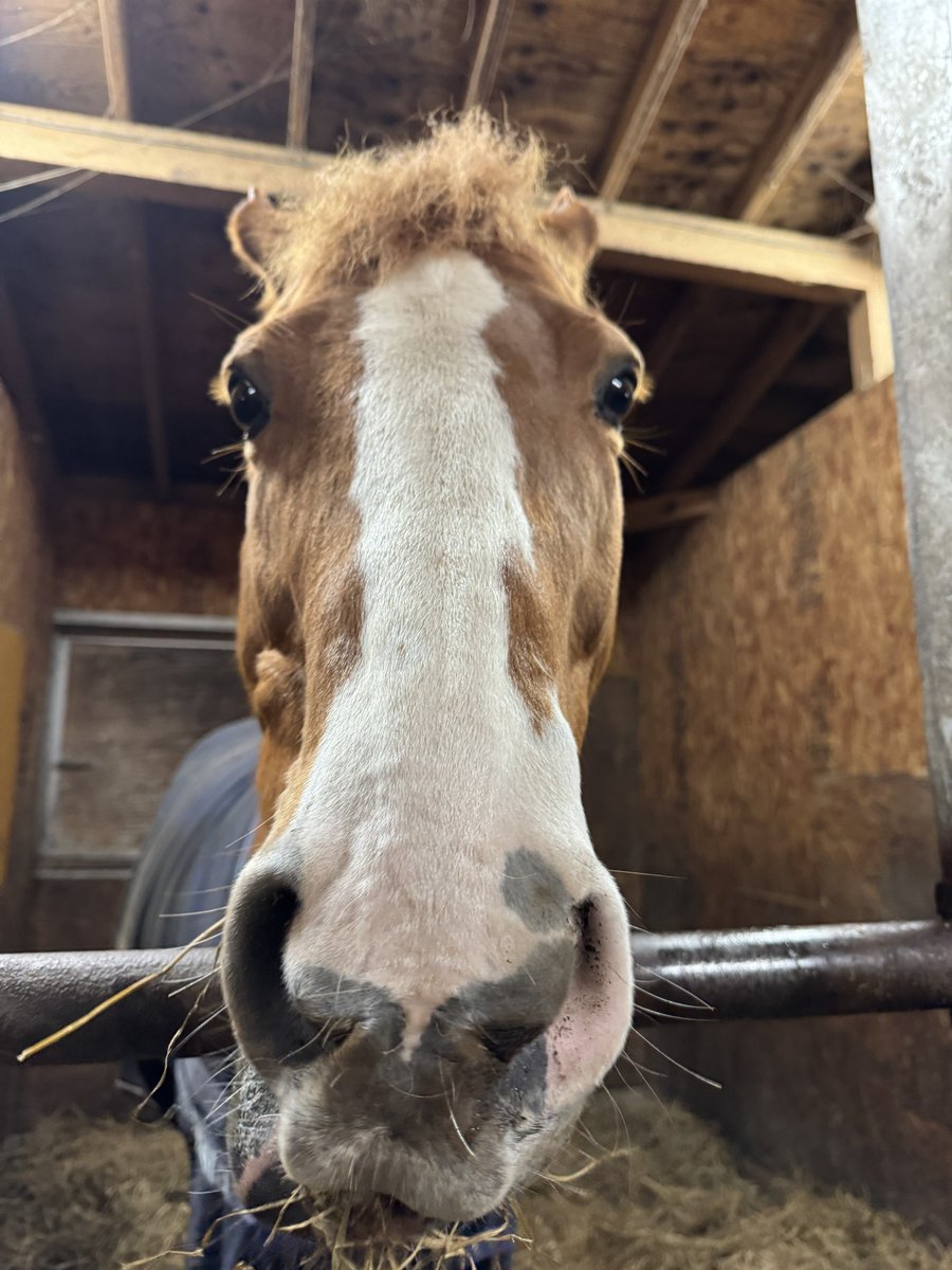 インパーくんが、午後10時くらいをお知らせします。