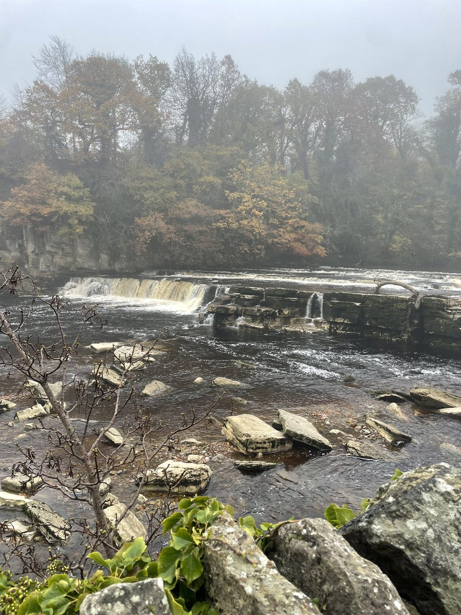 ebbyjade tweet media