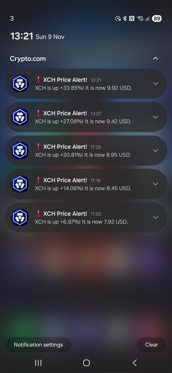 🌱🍊chudson | @SpaceRatZNFT.xch 🍊🌱 tweet media