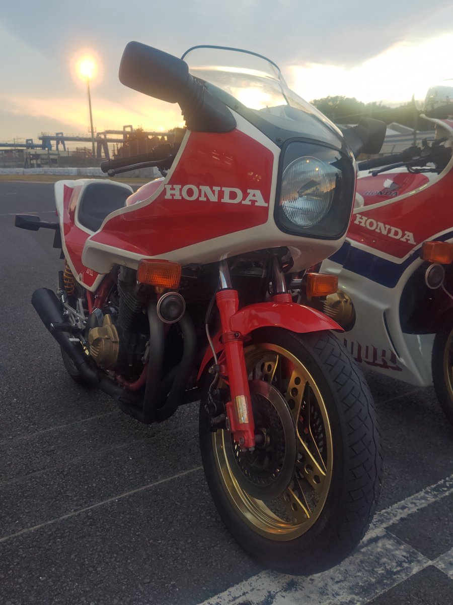 かっしー ベル＆ナッシーパパ on X