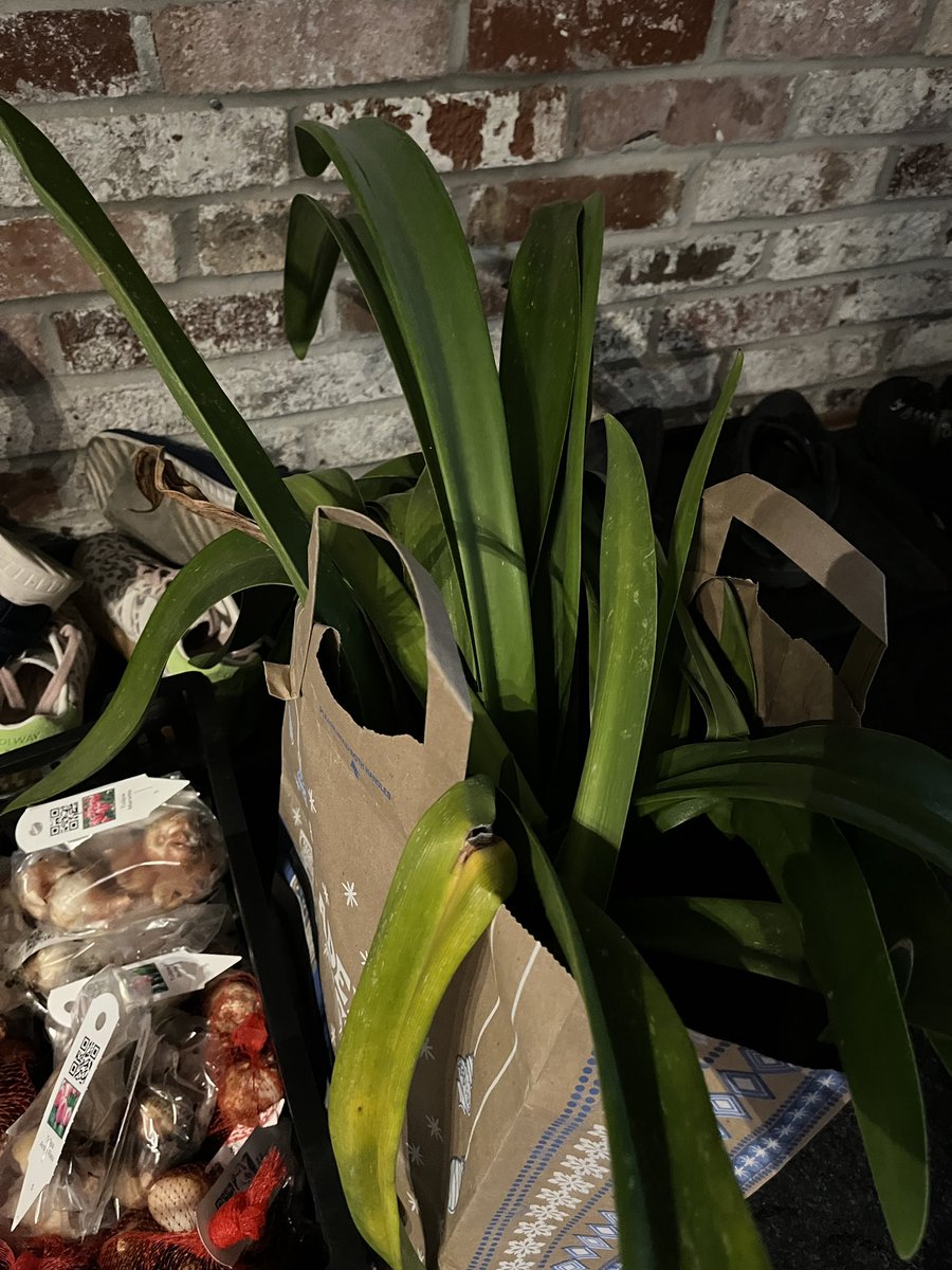 Kelly Rawlings, MPH, PWD tweet media