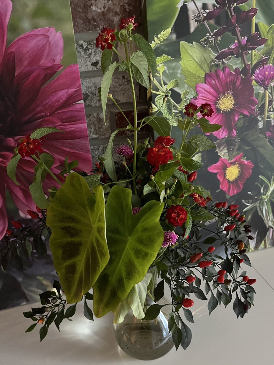 Kelly Rawlings, MPH, PWD tweet media