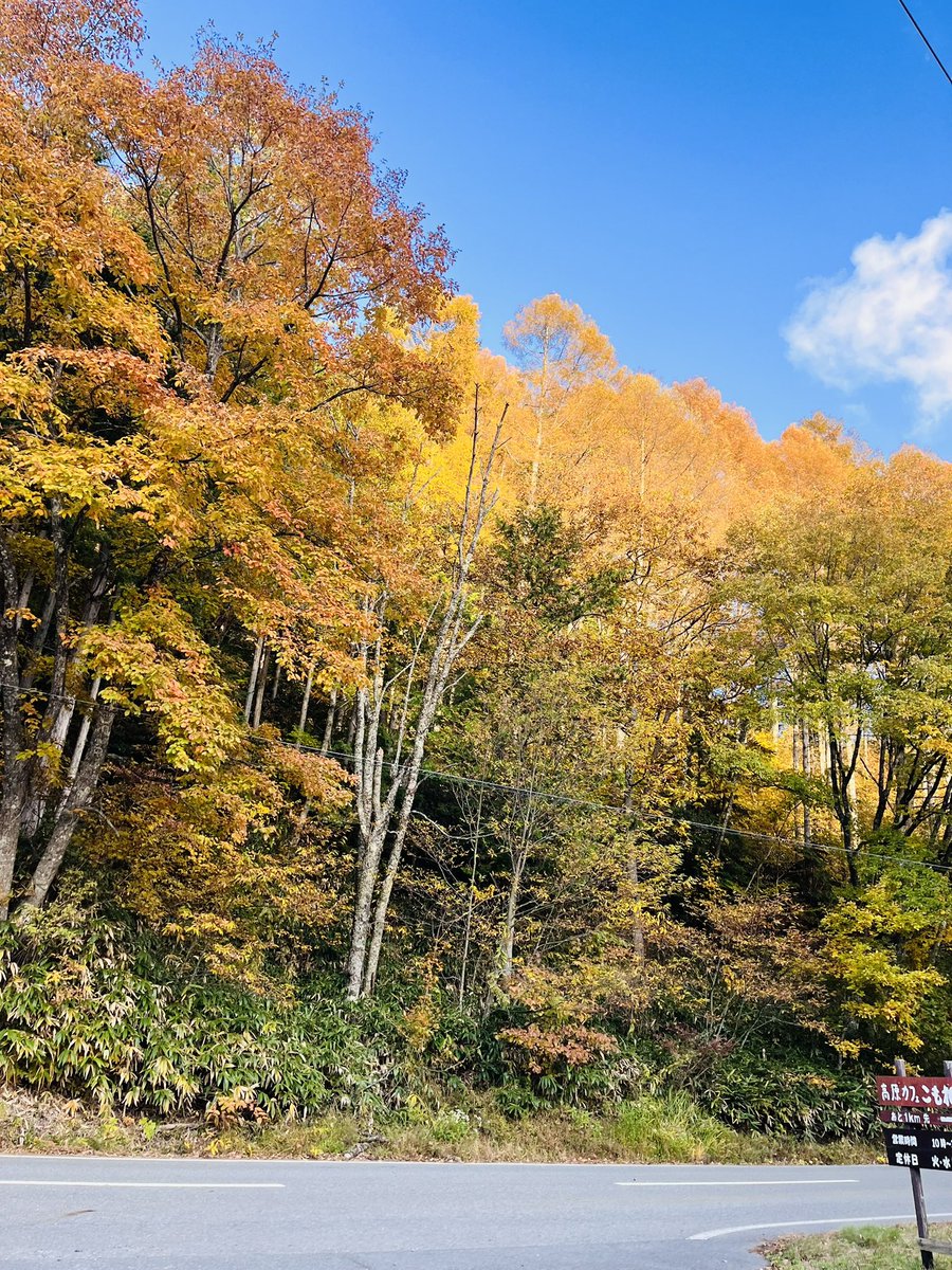 平谷湖ダブルス戦のみ参戦してました
いやー、足引っ張っちゃったなー…

キーワード:クリアアルフ