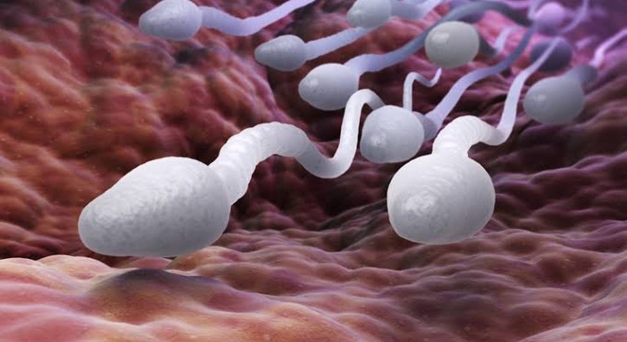 زمن العجائب 😉
الدانق حسين الاسلحي
طلع حامل من عاده كان صغيري هذا حسب كلامه مش كلامي انا🙏😉😂🤣
قلنا لكم الرجال فيهم مكلف ماصدقتم😂