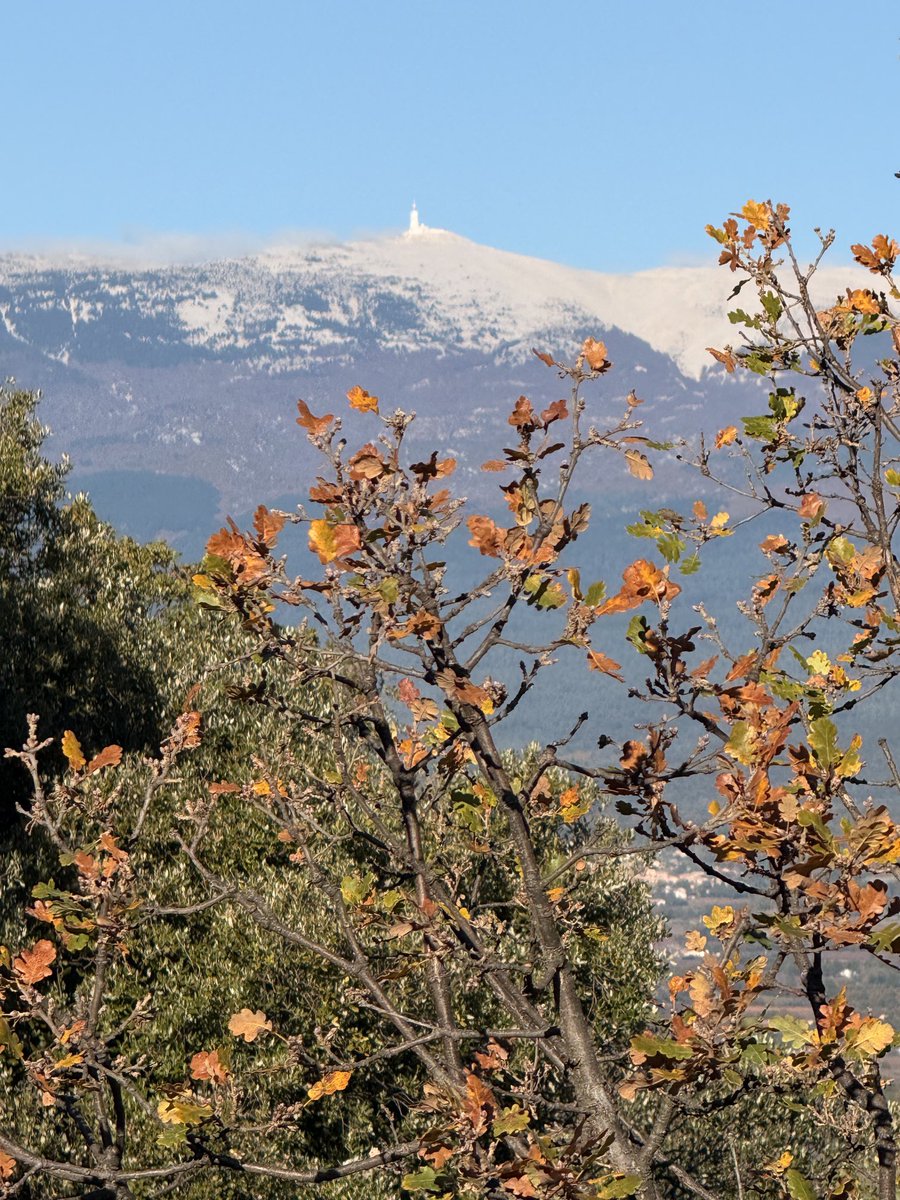 Oef, ik ben er bijna🚶😓