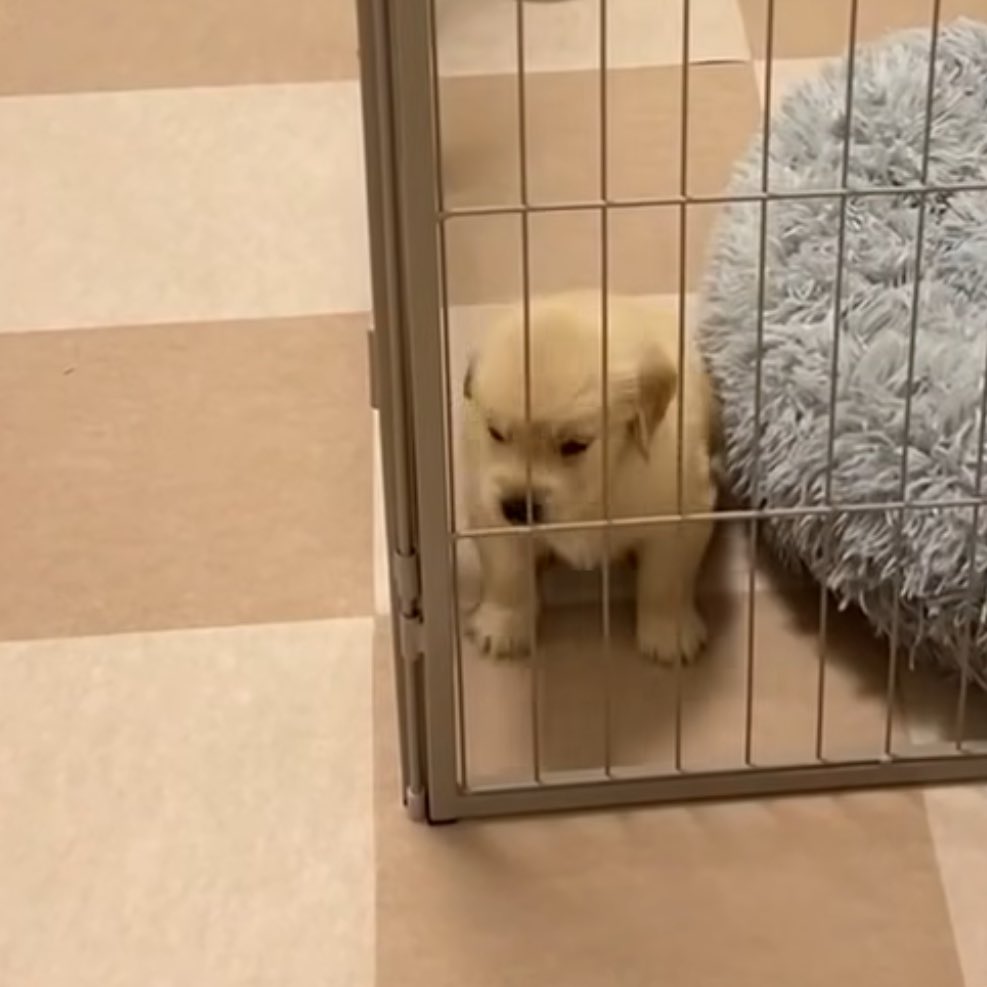 ทำไมชอบทิ้งชั้นไว้ตุวเดว ชั้นก้เสียใจเปนน้ะ