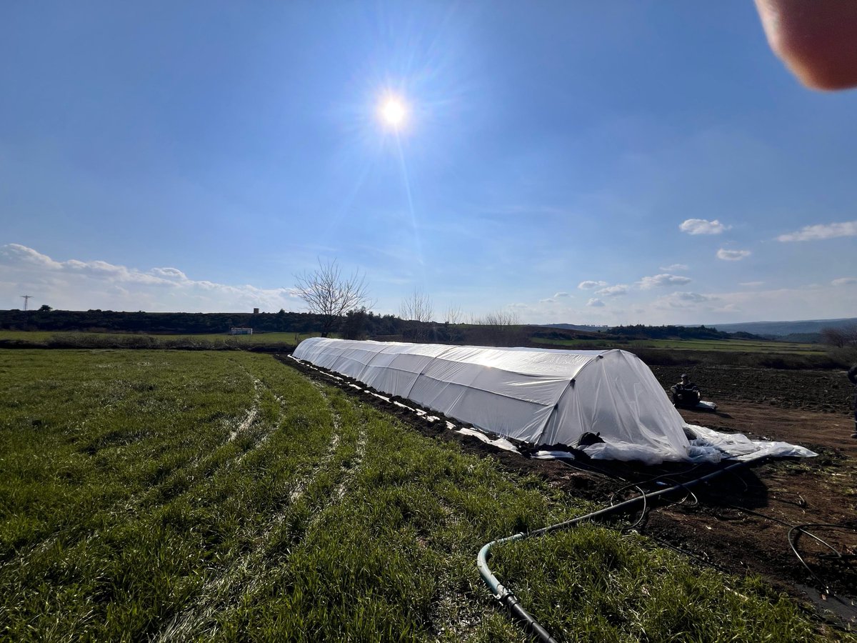 Tabipler Tarım Koop tweet media