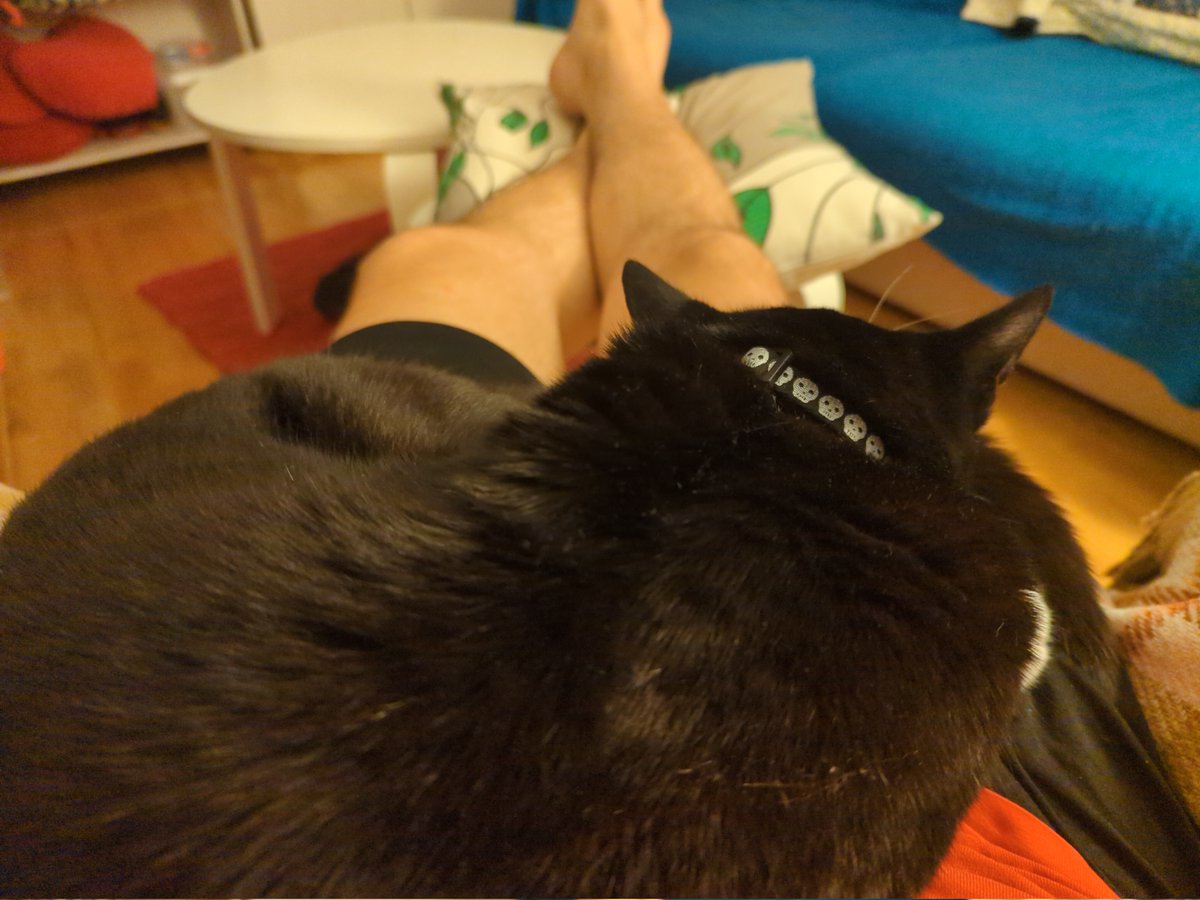 Good Morning, Everyone!

Have a meow Monday!