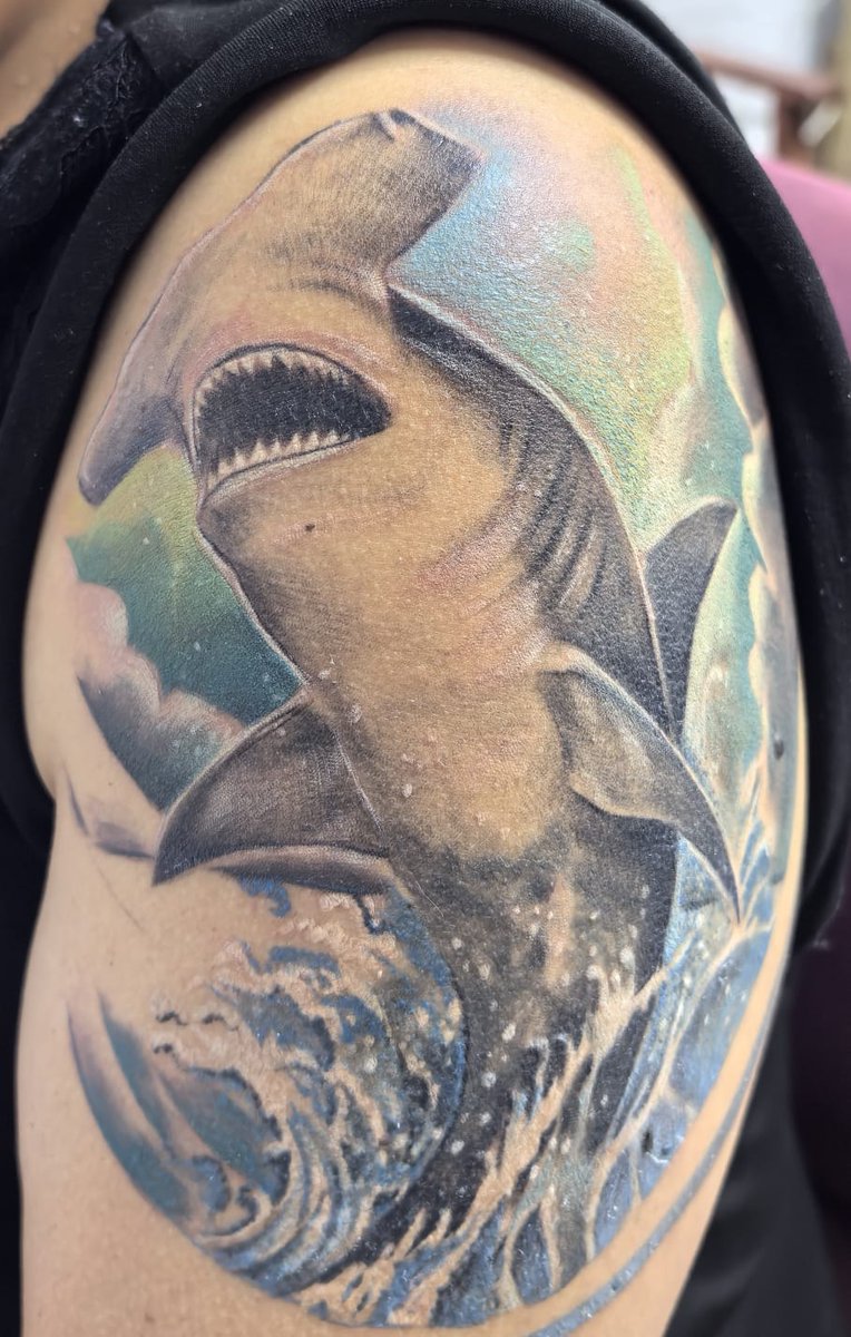 🐟 Indra 🐟 tweet media