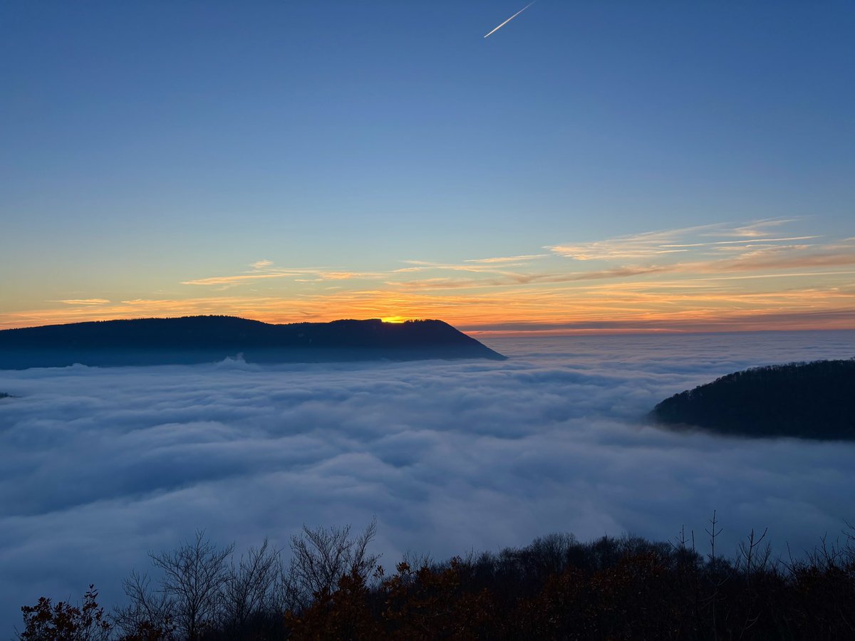 Olaf Schmidt (@olaf1893) on Twitter photo 