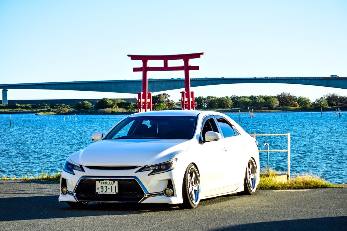 Keima🎣🌙🎧🔧☔️🐬🌟🚀🦈🫧🪼☁💀👅 tweet media