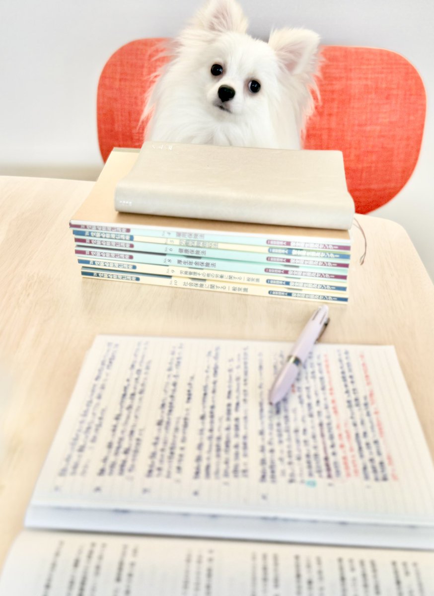 jeshiko_study's tweet image. 🪄Restart Quest ── 止まっていた時間をうごかす🐾
職業：アラフォー短大生（難病と生きる）
ミッション：社労士試験 合格
仲間：しらたま監督🐶（癒しLv.99）
日々の努力＝経験値。焦らず止まらずレベルアップ中⤴️
回復魔法：甘いもの🐷
#リスタートクエスト
🎬YouTube▶【リスタート・クエスト】