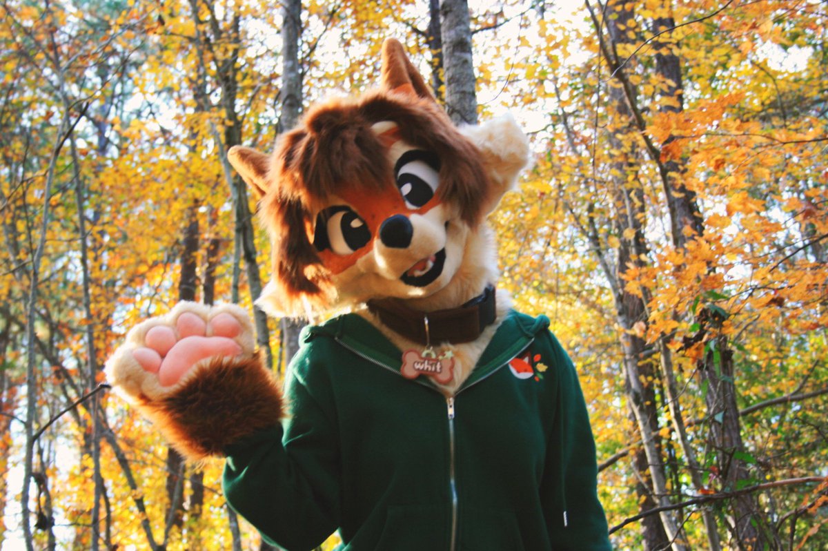 welcome to my page!!
୭⋆˚⊹𐂯

i’m whit! a furry artist and fursuit maker on the east coast!
i <3 millipedes, oddities, and adventure time! 

i am more active on other socials!
╰┈➤ˎˊ˗ whitkit.straw.page

♡   ႔ ႔     
   ᠸ^ ^ ⸝⸝      
     |、˜〵
     じしˍ,)⁐̤ᐷ