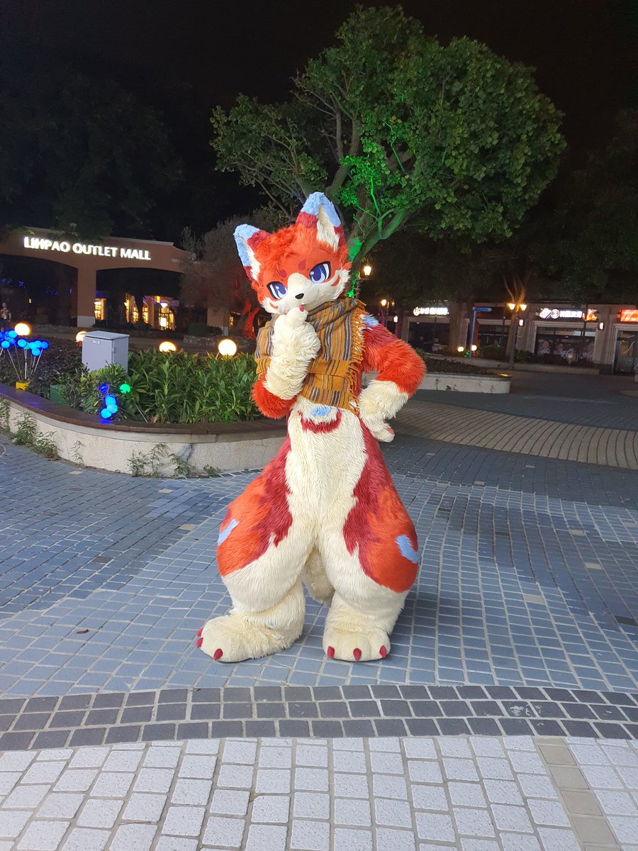 밤나들이중 만난 귀요미