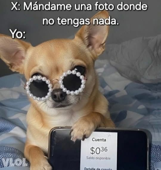 Pkittass's tweet photo. Devoré jajaajaajajajajajaaja 😆 https://t.co/vpxPs3rU95