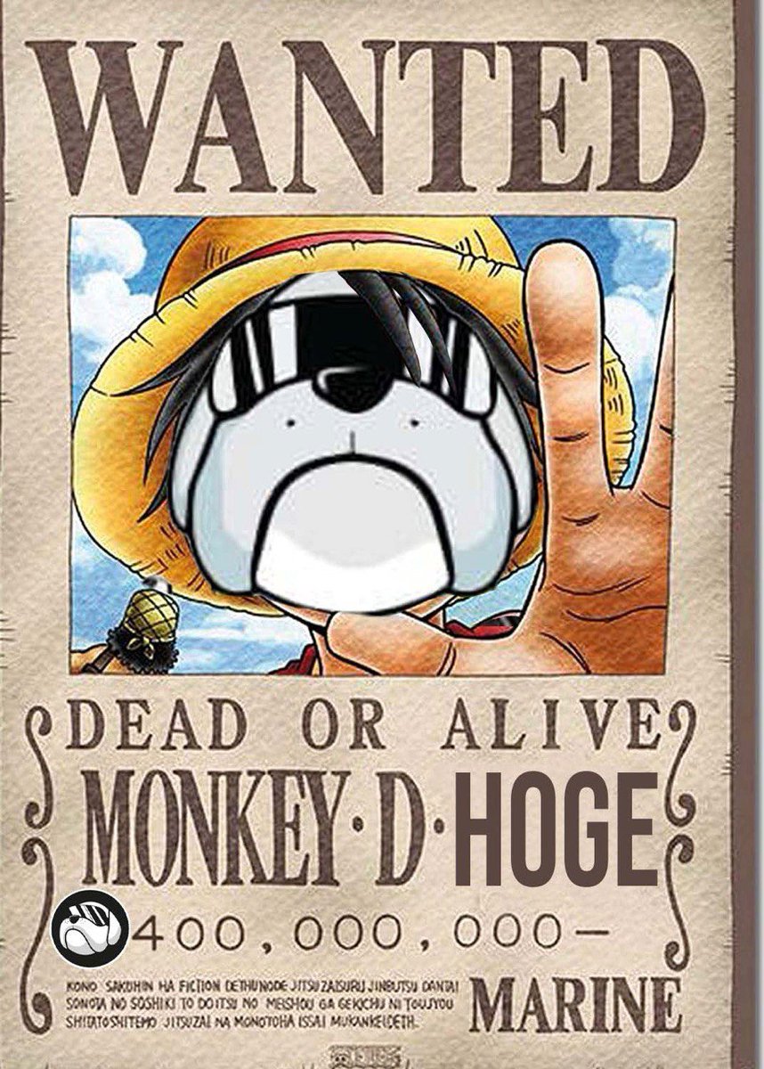 $Hoge since 2021 never stopped. Who joined, sticks to it. It is a dog wif glasses.

But launched 3 years before any other dog wif something. Who is OG ?

And every transaction auto burns 2% of supply and redistributes to holders.

Never leaving Hoge.